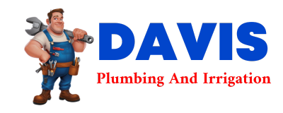 Trusted plumber in CAROLEEN